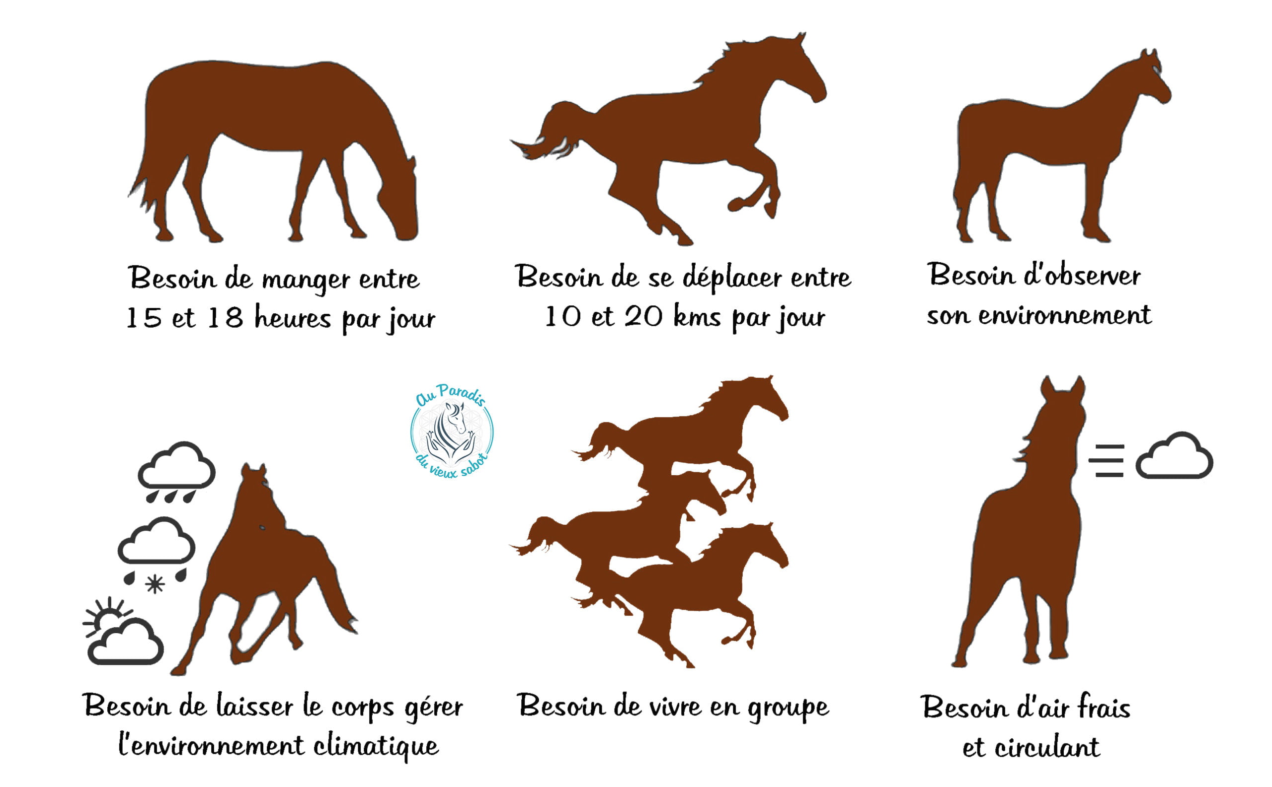Besoins fondamentaux des chevaux