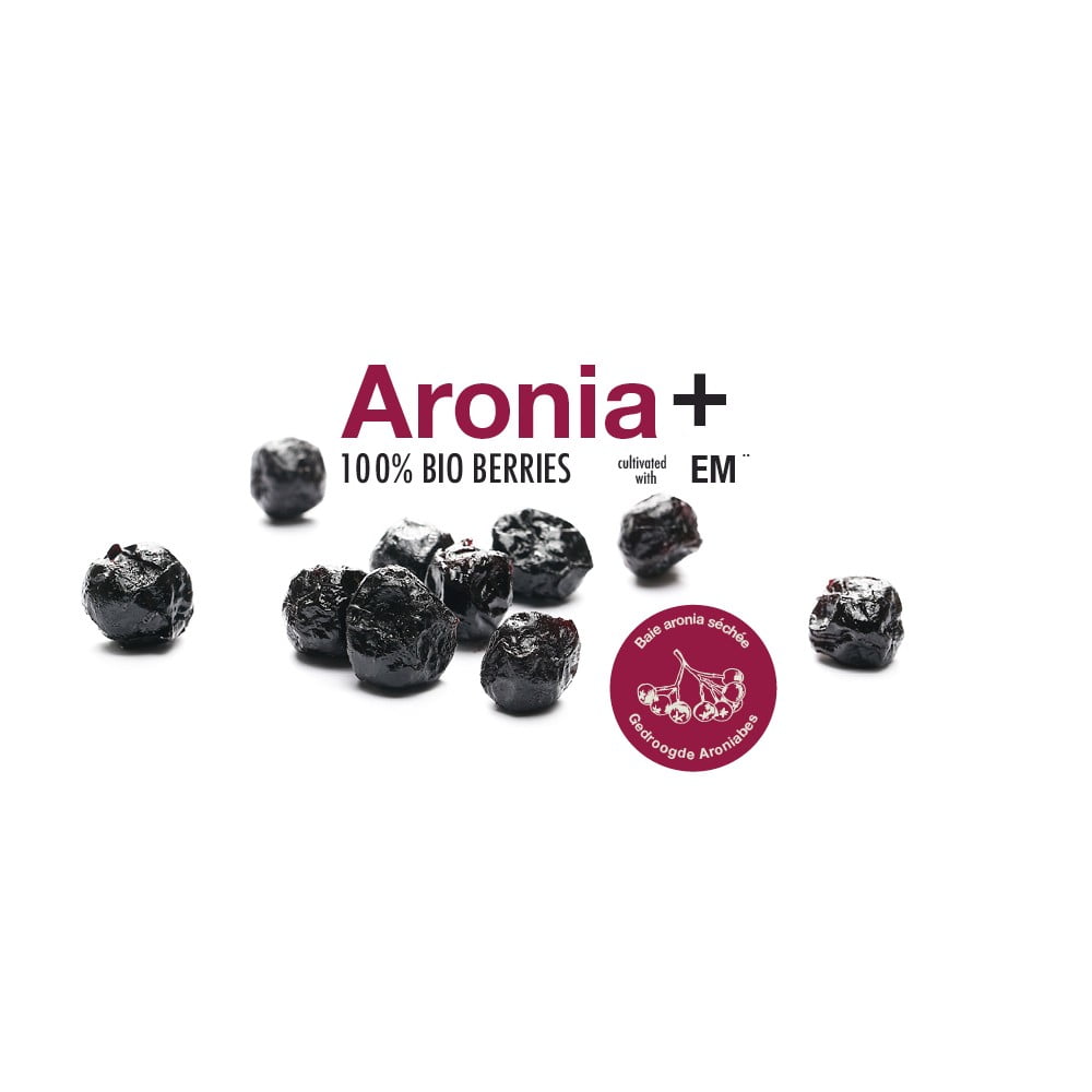 Aronia + – Image 2